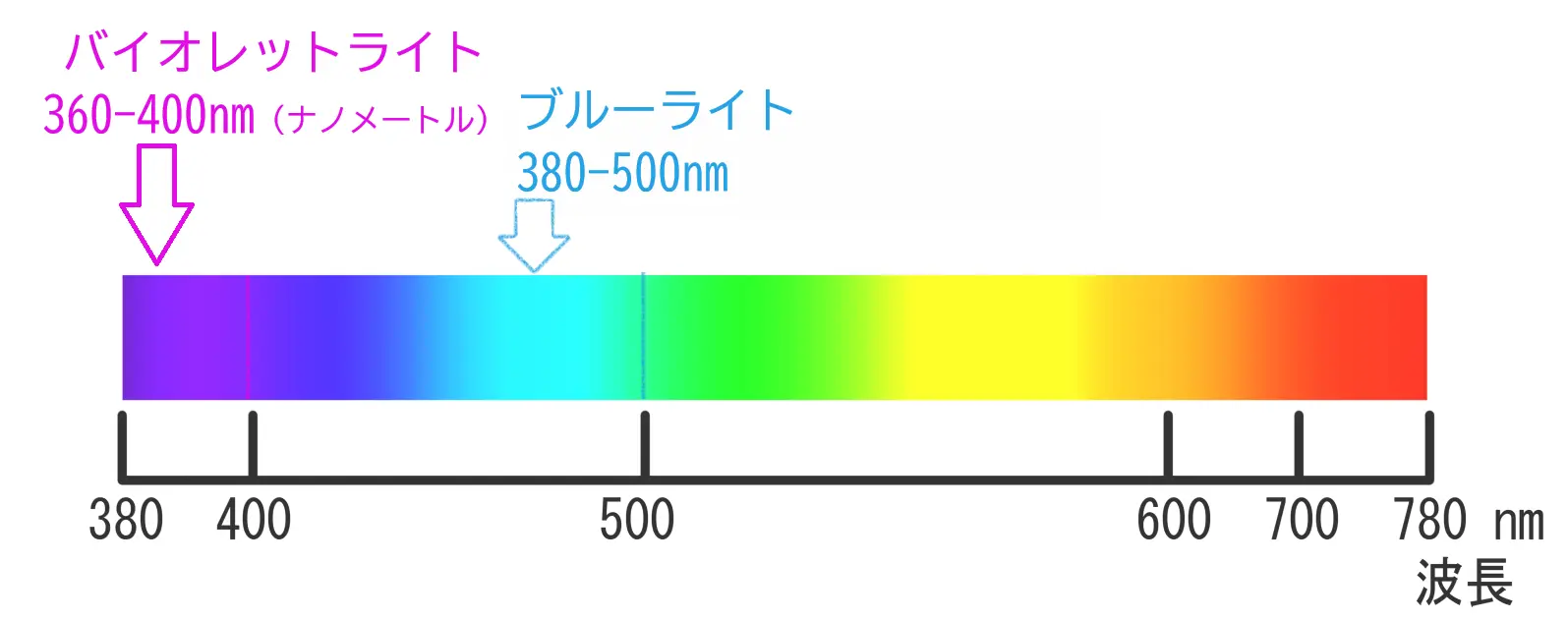 バイオレットライト波長イメージ