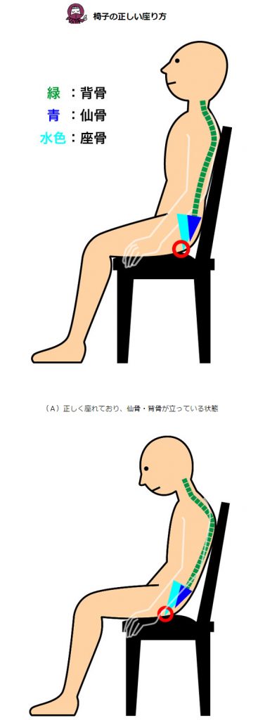座骨のイメージを横から見た状態