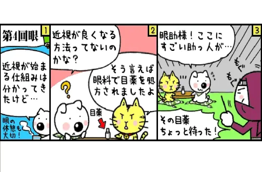 第4回目