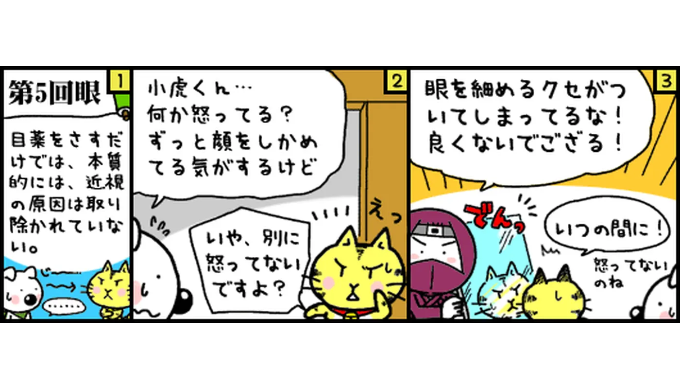 第5回目