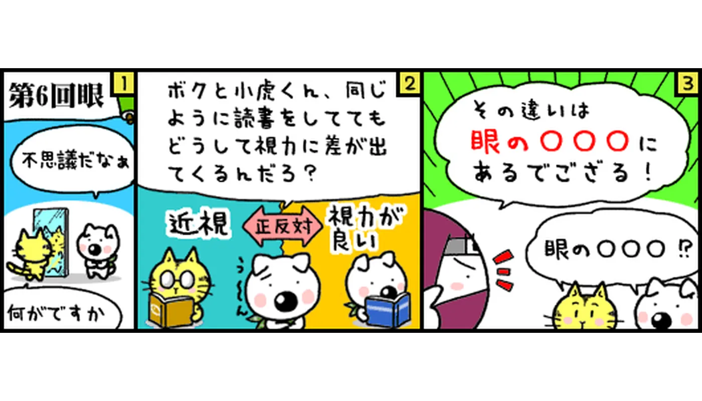 第6回
