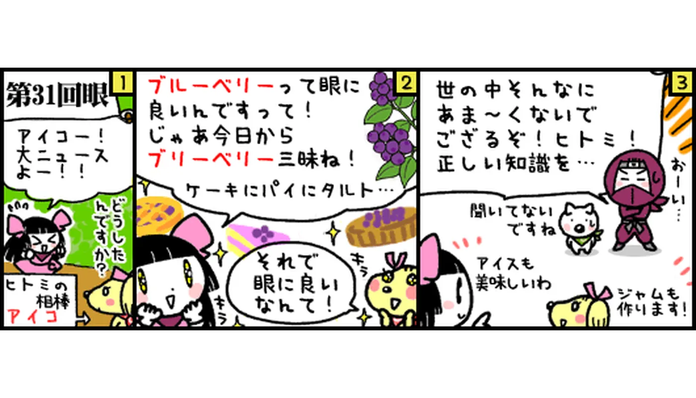 第31回目マンガブルーベリーは目によいのか
