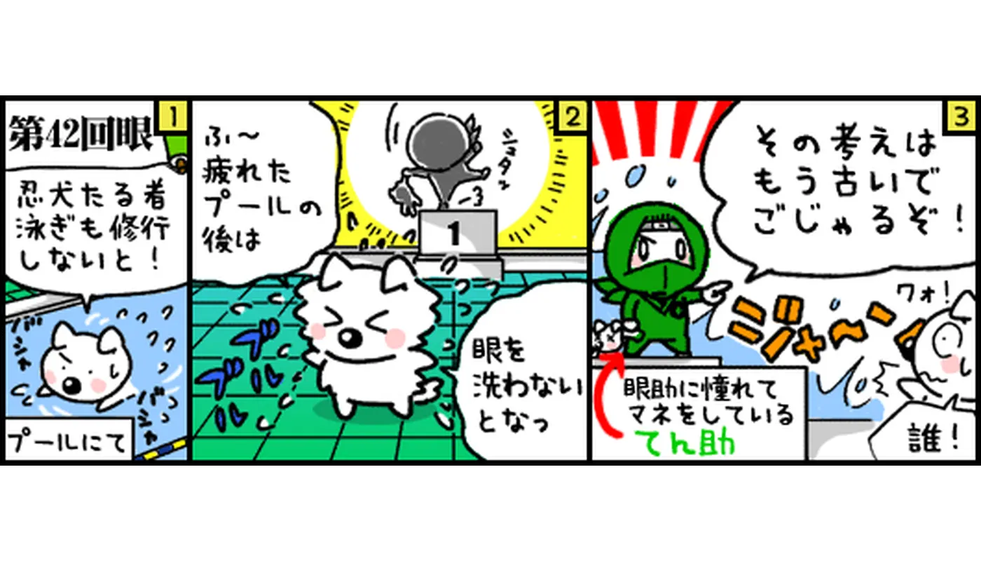 第42回目マンガ