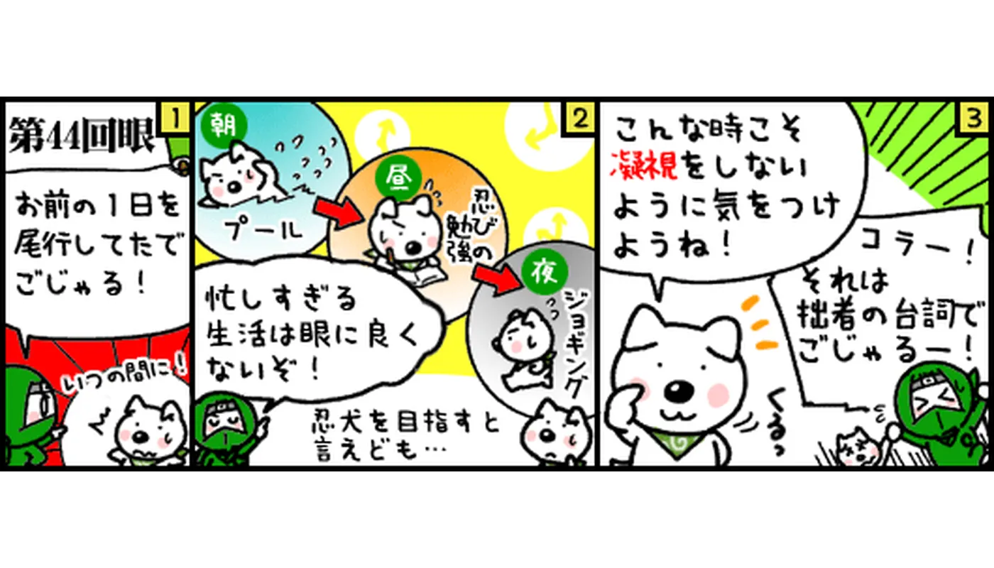第44回目マンガ